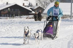 Lenk 2012 SM